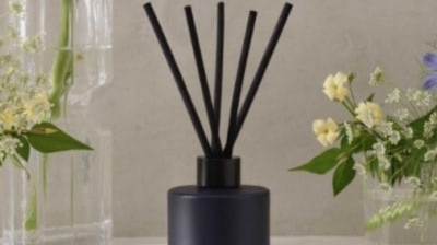 The Anatomy of Fragrance: Exploring Layers of Scent