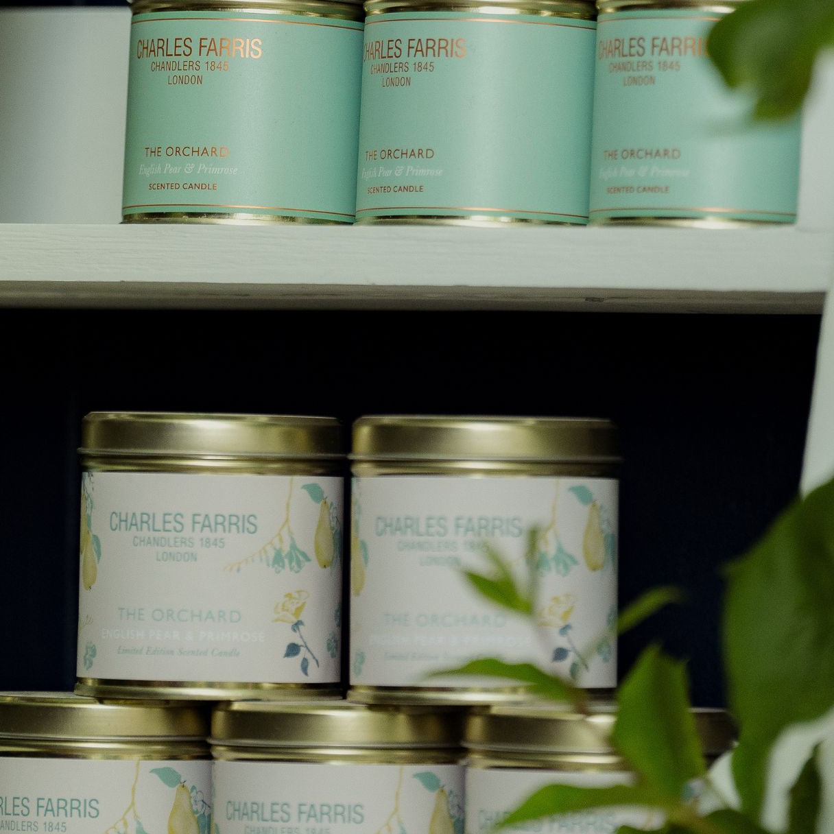 The Orchard Limited Edition Candles by Charles Farris