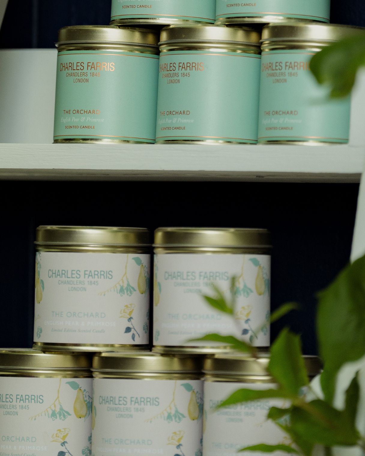 The Orchard Limited Edition Candles by Charles Farris