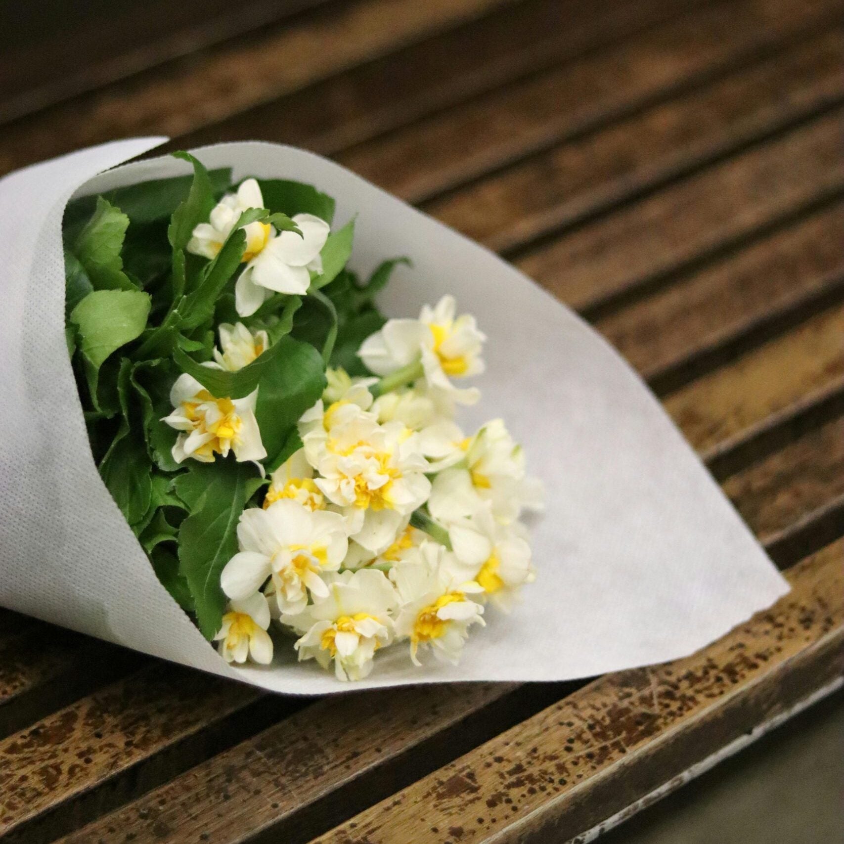 Why White Flowers are Perfect for Summer