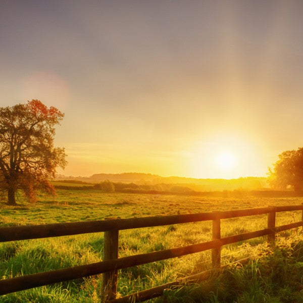 Exploring Springtime Charms in the UK