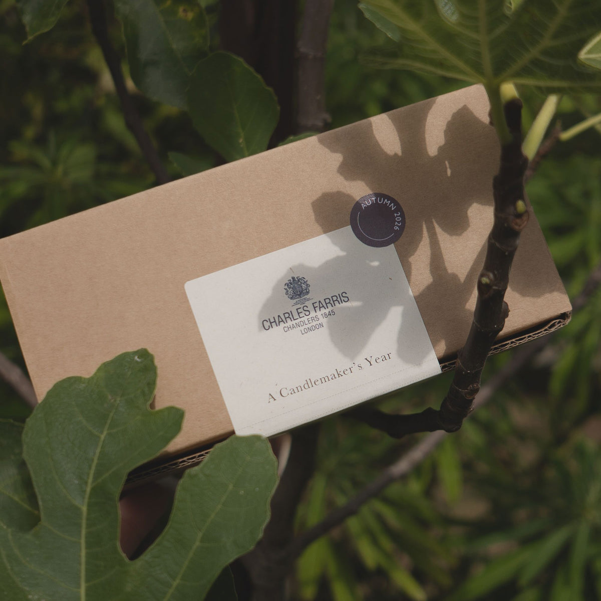 Charles Farris a Candlemaker's Year subscription box in kraft card with its Charles Farris note card, resting against a fig tree