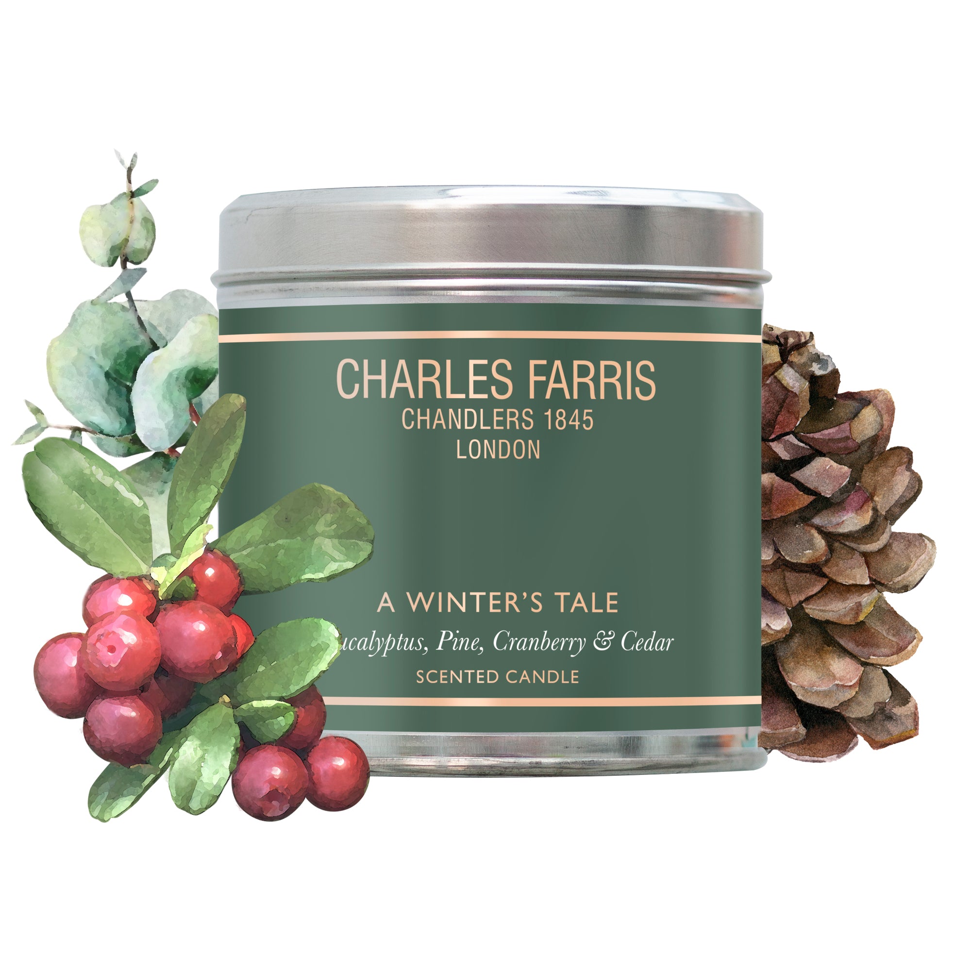 Winter Evergreen Tin Candle - Eucalyptus, Pine, Cranberry & Cedar